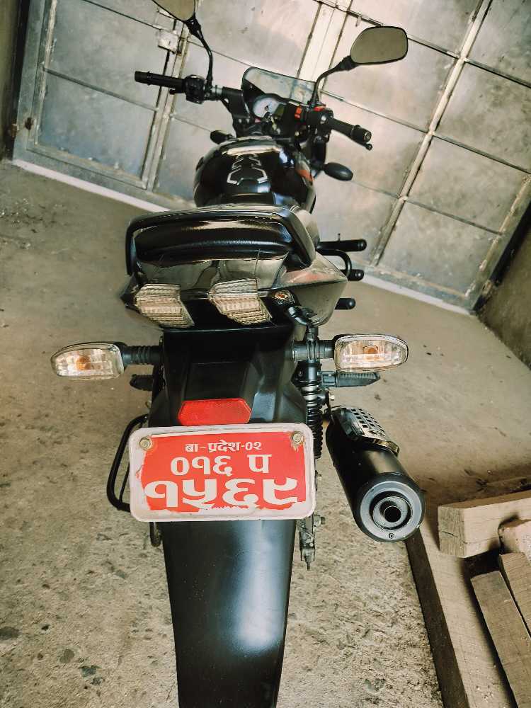 2020 Bajaj Plusar 150, photo 3