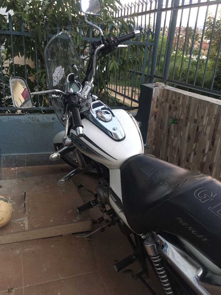 2021 Bajaj Avenger 220, photo 3