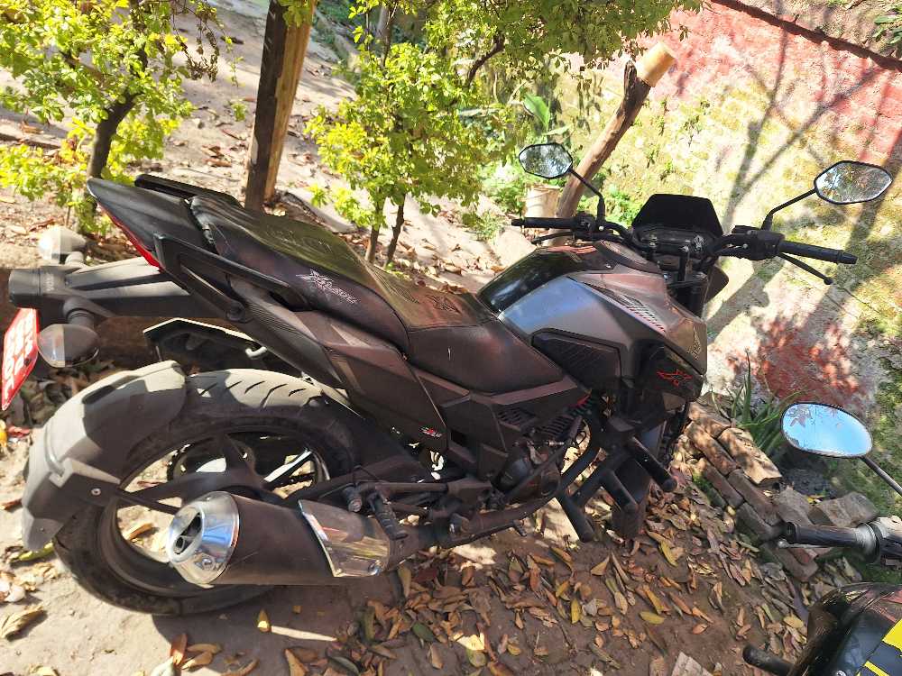 2019 Hero Xtreme, photo 3