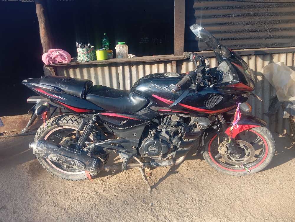 2016 Bajaj Plusar 220, photo 3