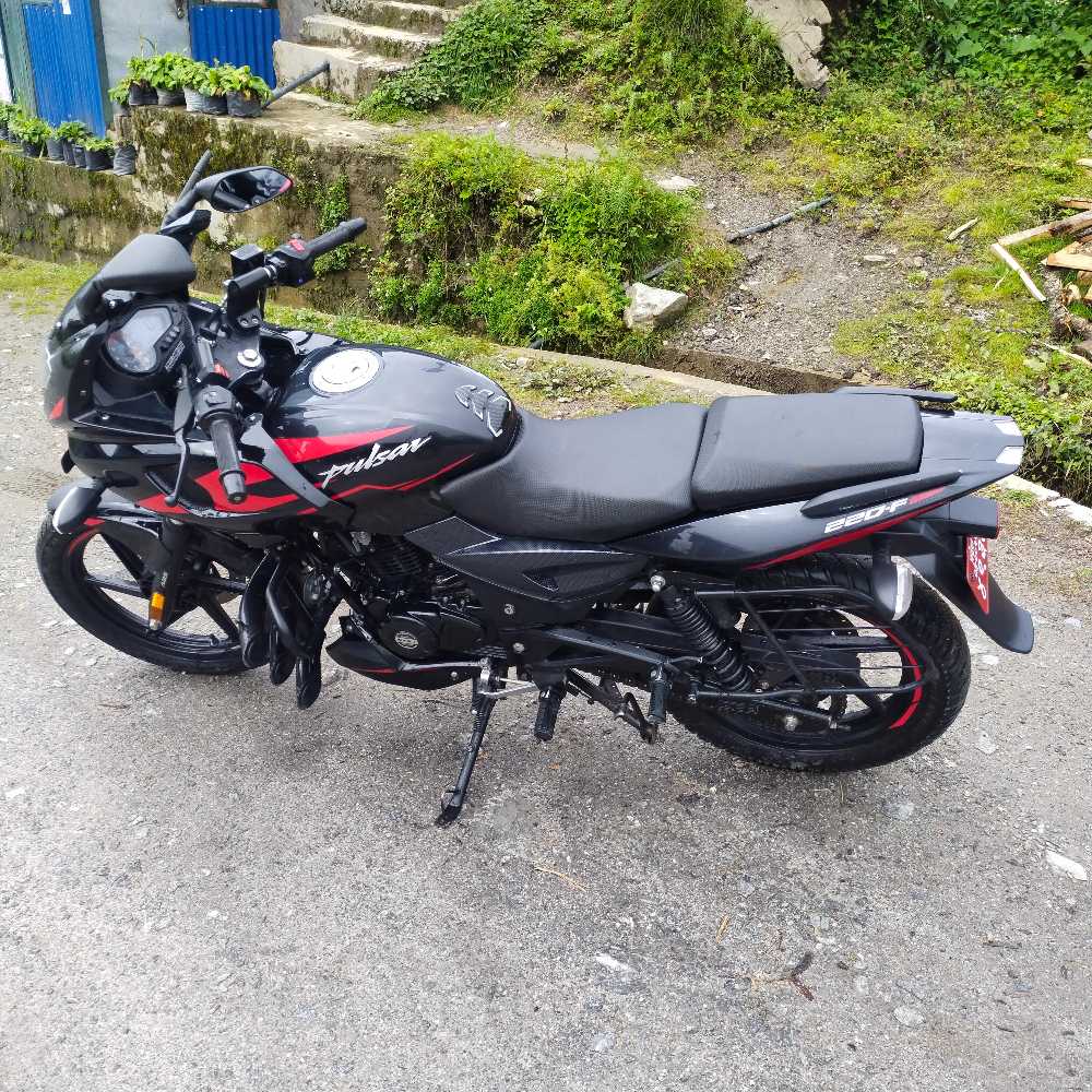 2022 Bajaj Plusar 220, photo 2
