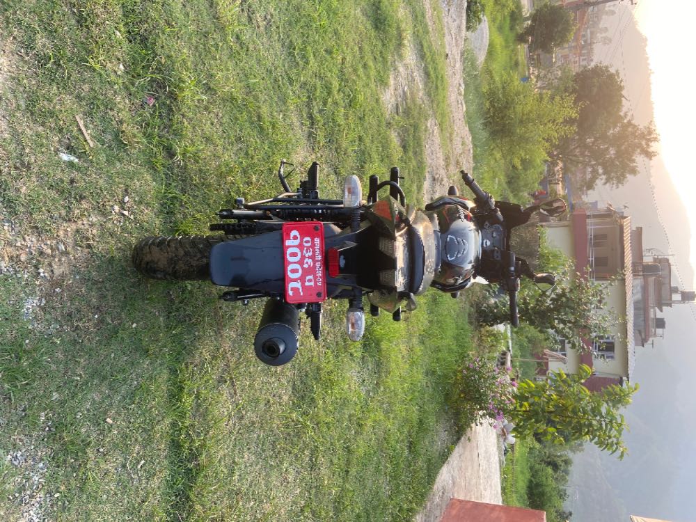 2022 Bajaj Plusar 220, photo 4
