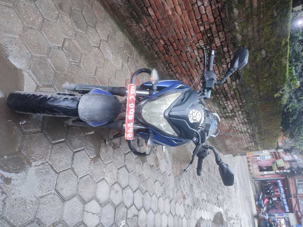 2020 Hero XPulse 200, photo 6