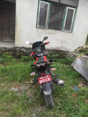 2013 Bajaj Plusar 220, photo 3