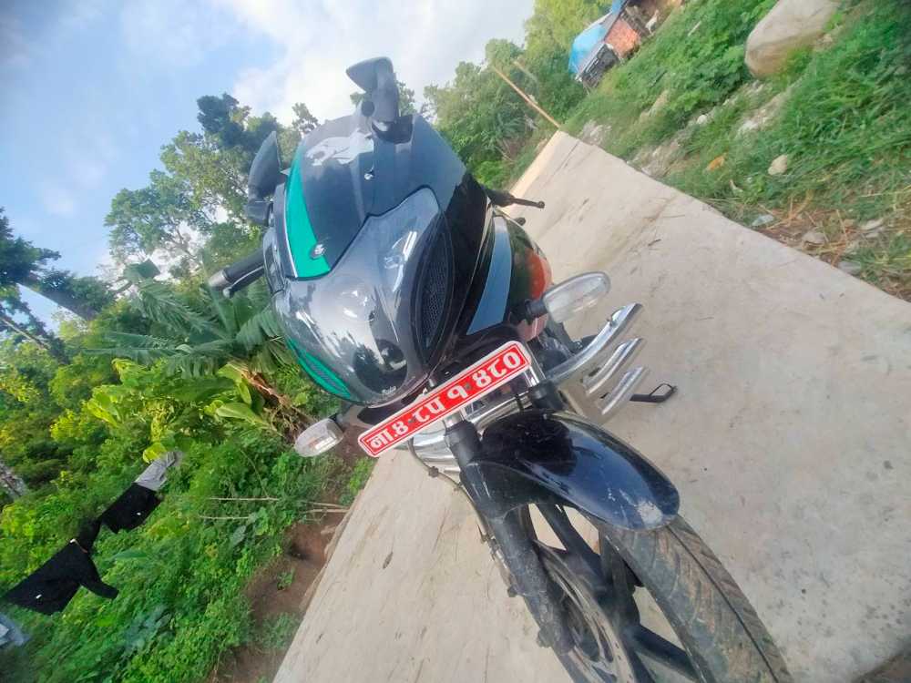 2019 Bajaj Plusar 220