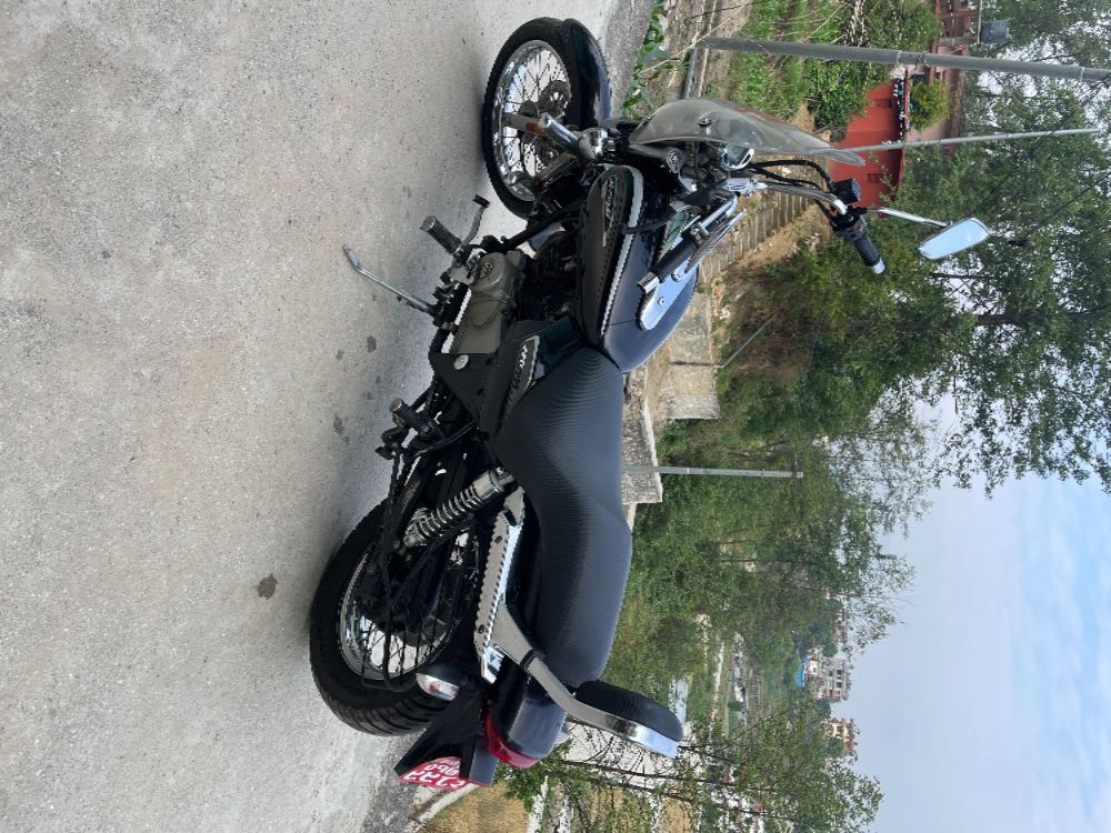 2020 Bajaj Avenger 220, photo 4