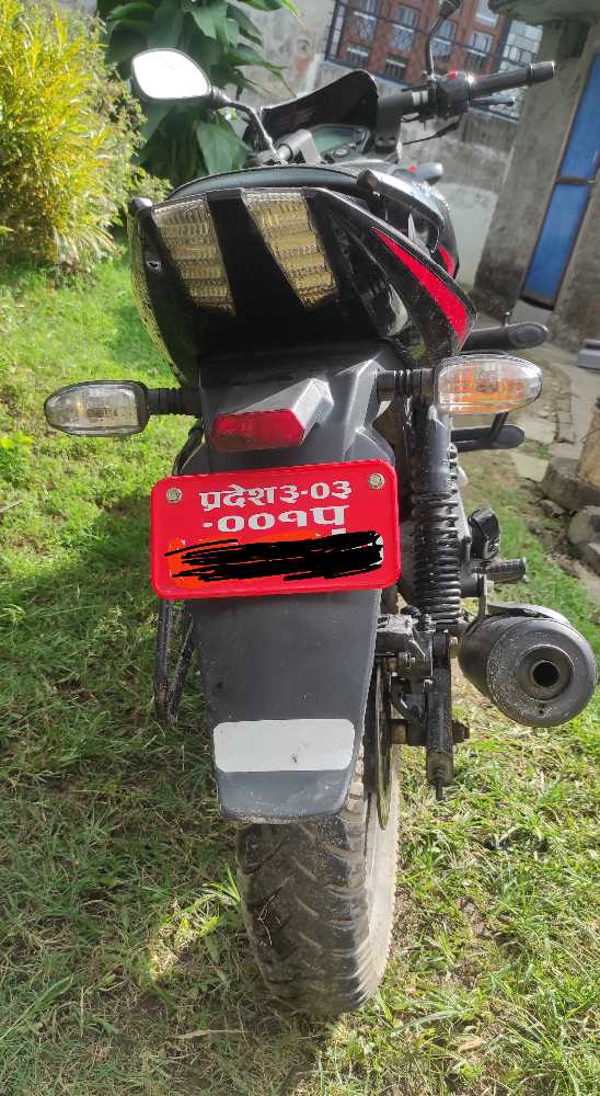 2019 Bajaj Plusar 150, photo 3
