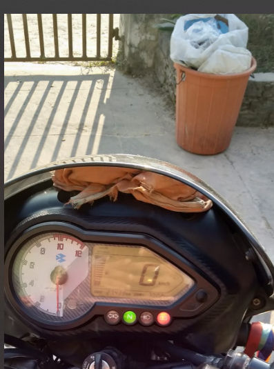 2020 Bajaj Plusar 150, photo 2