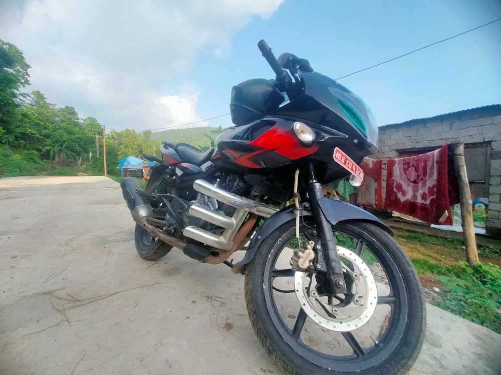 2019 Bajaj Plusar 220, photo 2