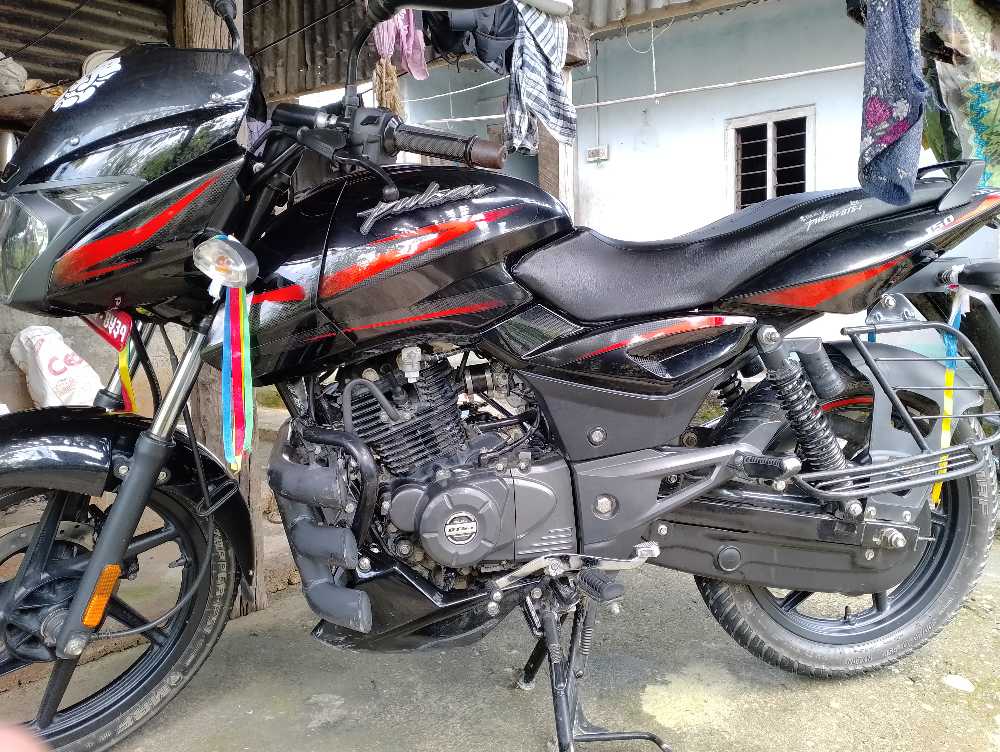2020 Bajaj Plusar 150, photo 2