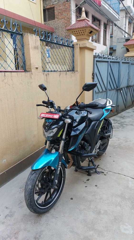 2019 Yamaha FZ 25, photo 6