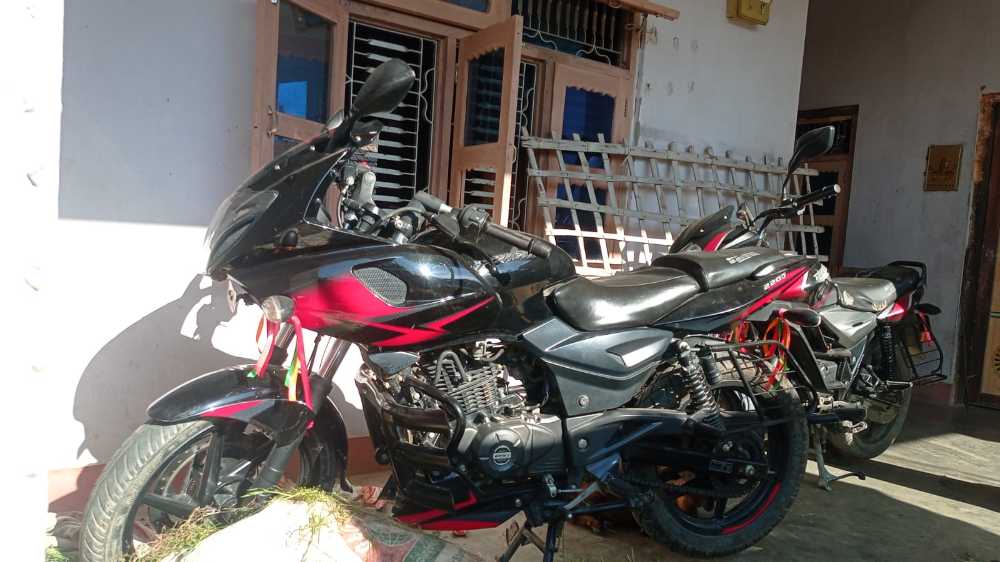 2020 Bajaj Plusar 220, photo 2