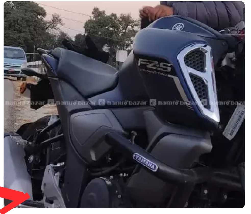 2020 Yamaha FZS