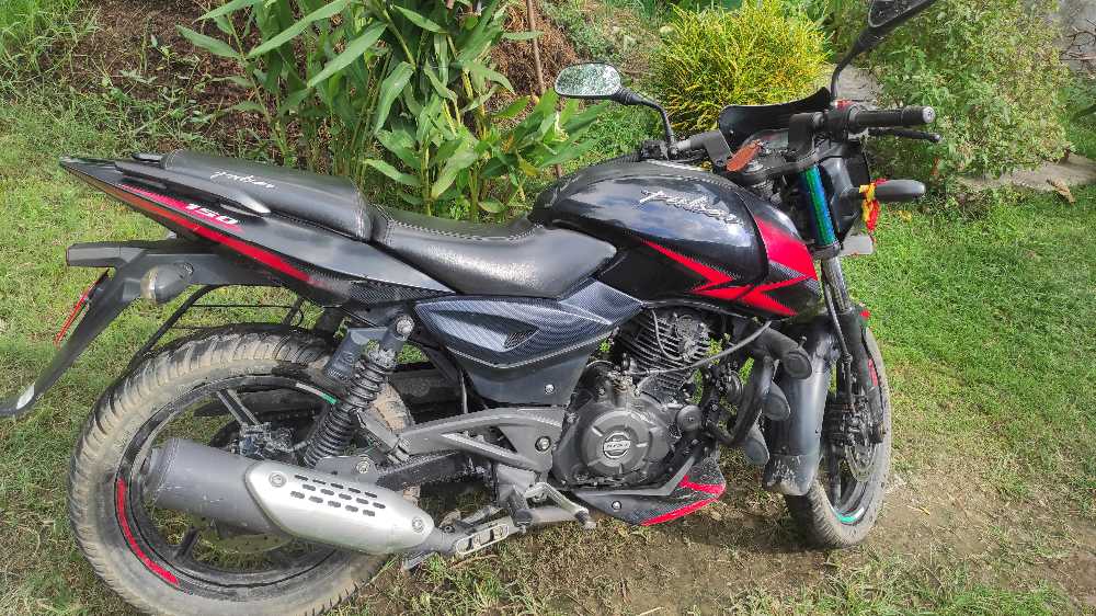 2019 Bajaj Plusar 150, photo 2