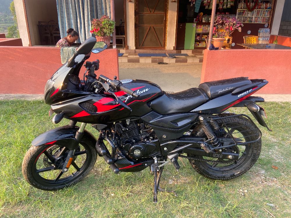 2022 Bajaj Plusar 220, photo 2