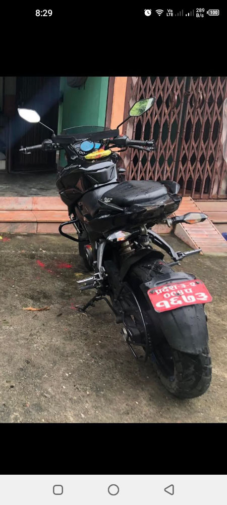 2019 Bajaj Plusar 150, photo 2