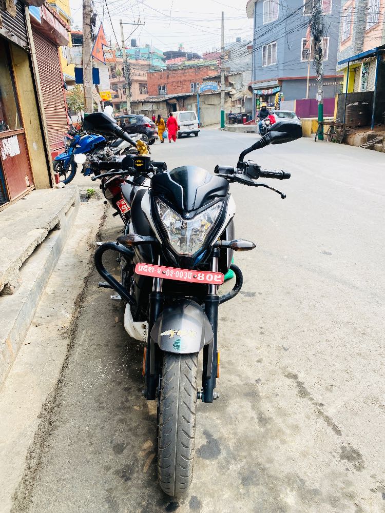 2020 Bajaj Plusar 150, photo 3