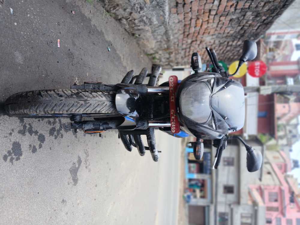 2021 Bajaj Plusar 150, photo 2