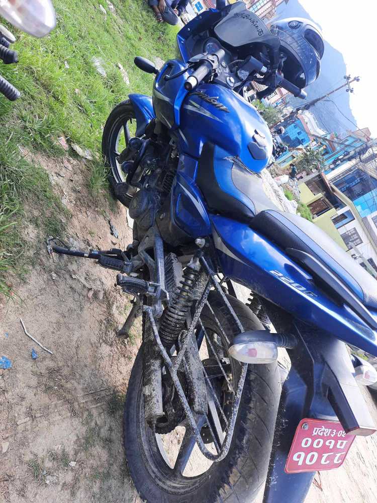 2018 Bajaj Plusar 150, photo 3