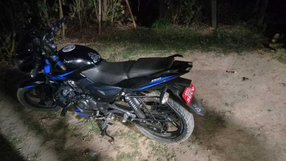 2019 Bajaj Plusar 150, photo 3
