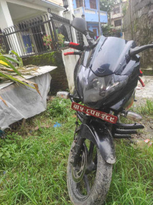 2013 Bajaj Plusar 220, photo 2
