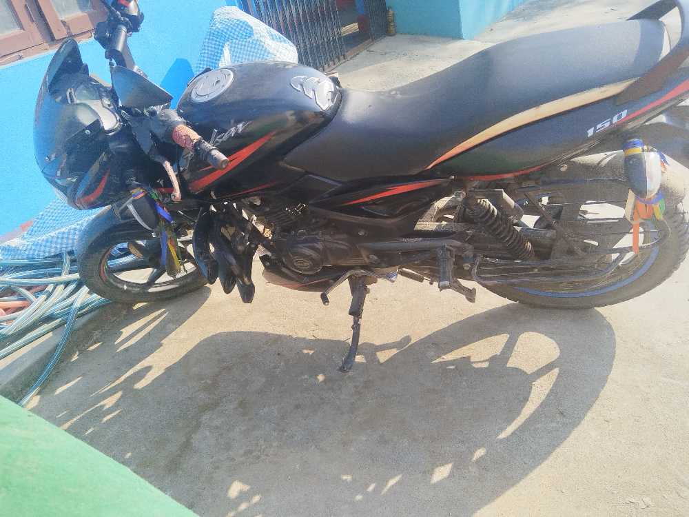 2020 Bajaj Plusar 150, photo 2