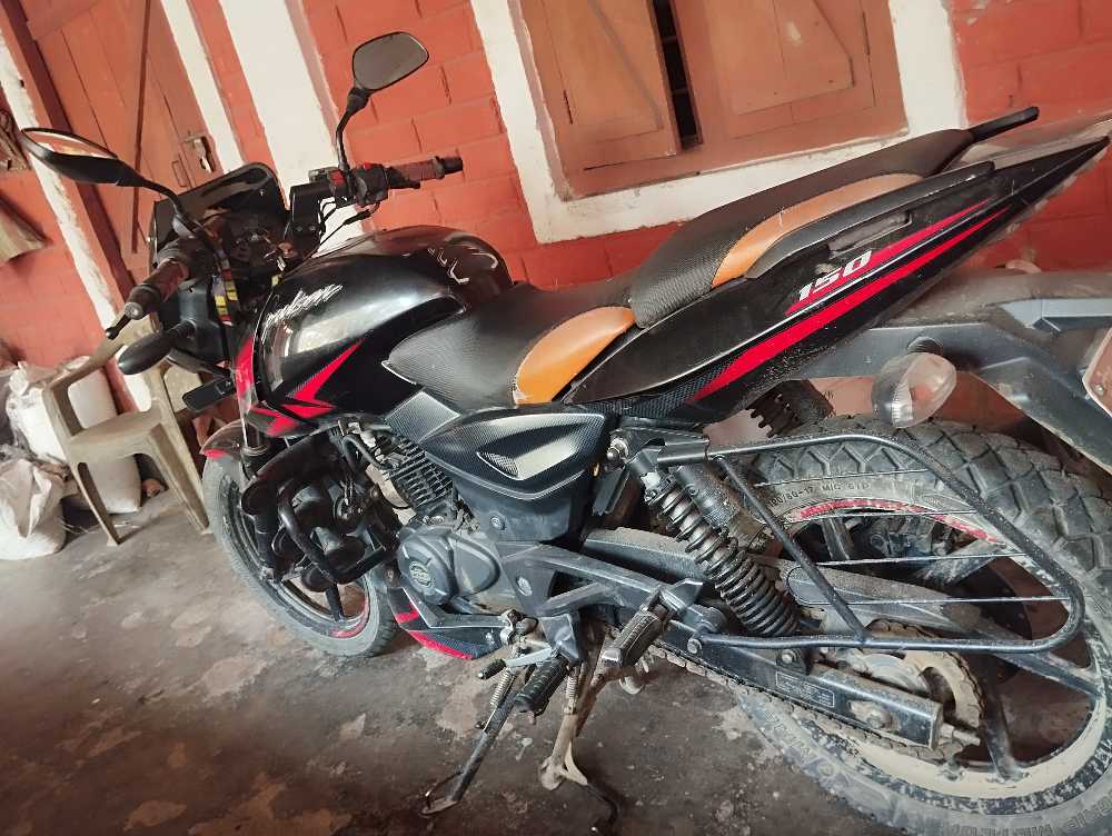 2019 Bajaj Plusar 150, photo 2