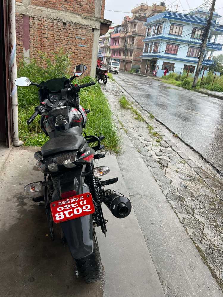 2021 Bajaj Plusar 220, photo 2