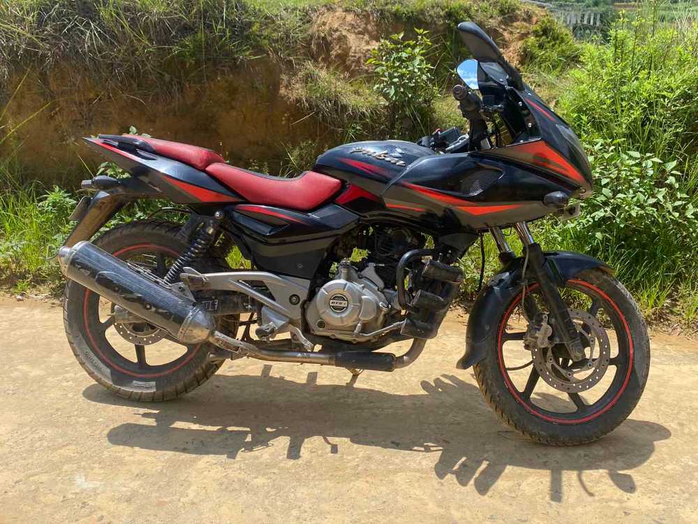 2015 Bajaj Plusar 220, photo 2