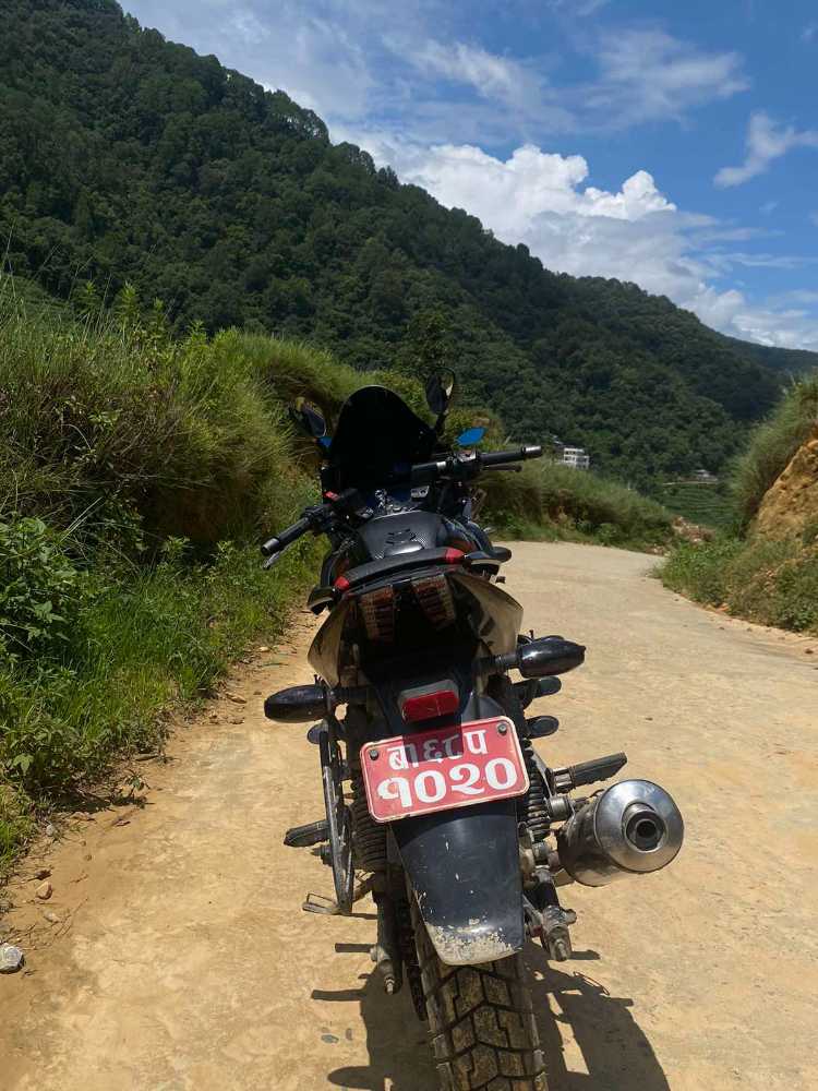 2015 Bajaj Plusar 220, photo 3