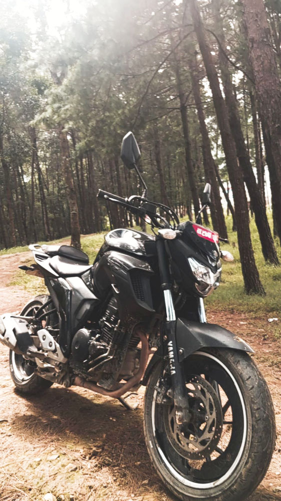 2018 Yamaha FZ, photo 2