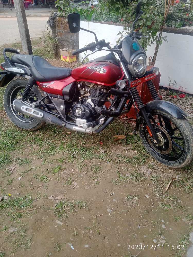 2020 Bajaj Avenger 150, photo 2
