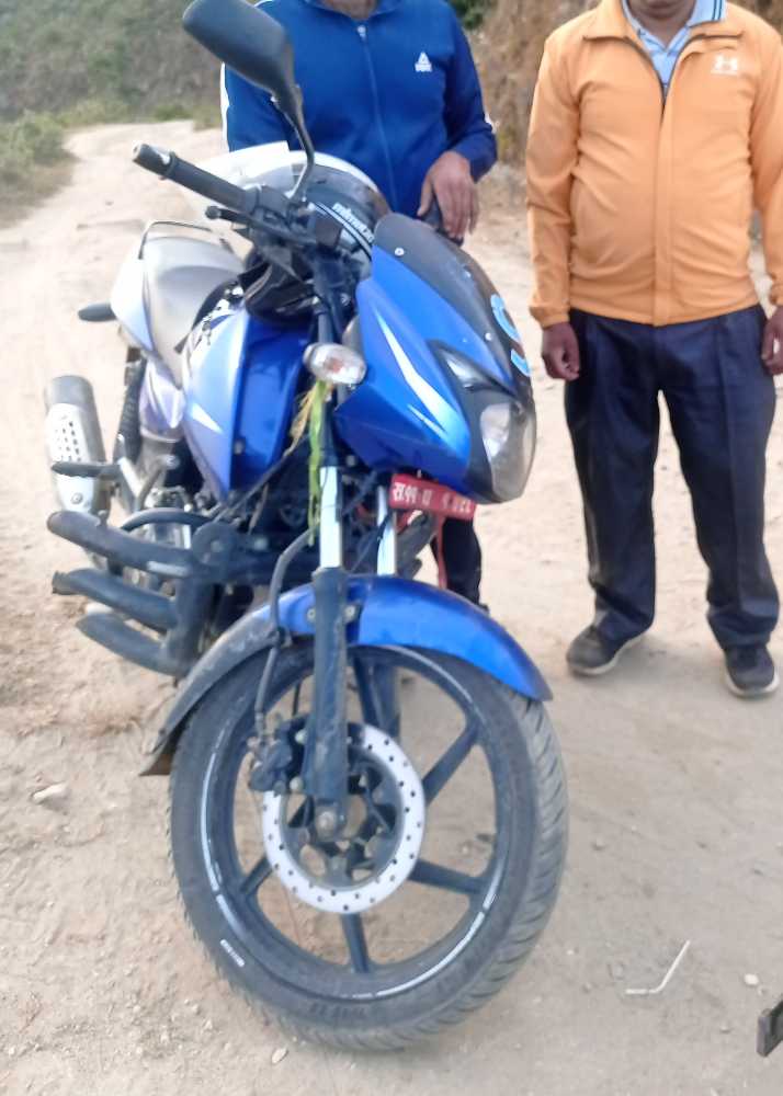 2019 Bajaj Plusar 150, photo 2