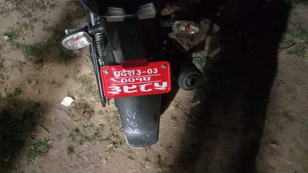 2019 Bajaj Plusar 150, photo 2