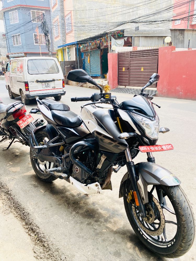 2020 Bajaj Plusar 150, photo 2