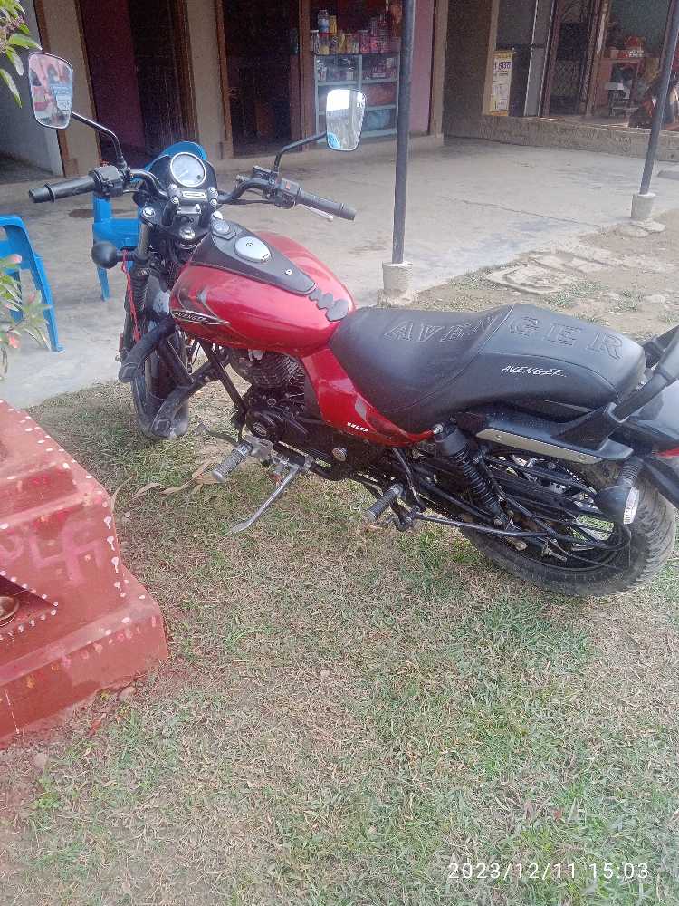 2020 Bajaj Avenger 150, photo 3