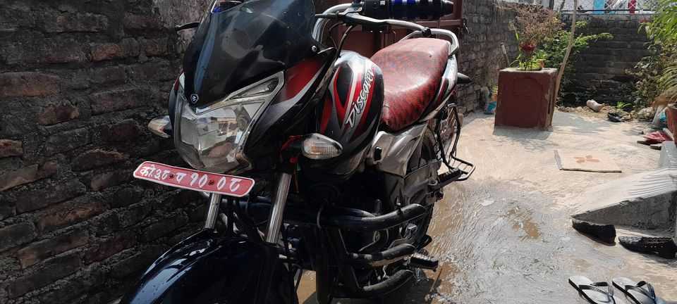 2019 Bajaj Plusar 150, photo 3