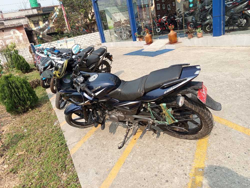 2017 Bajaj Plusar 220, photo 2