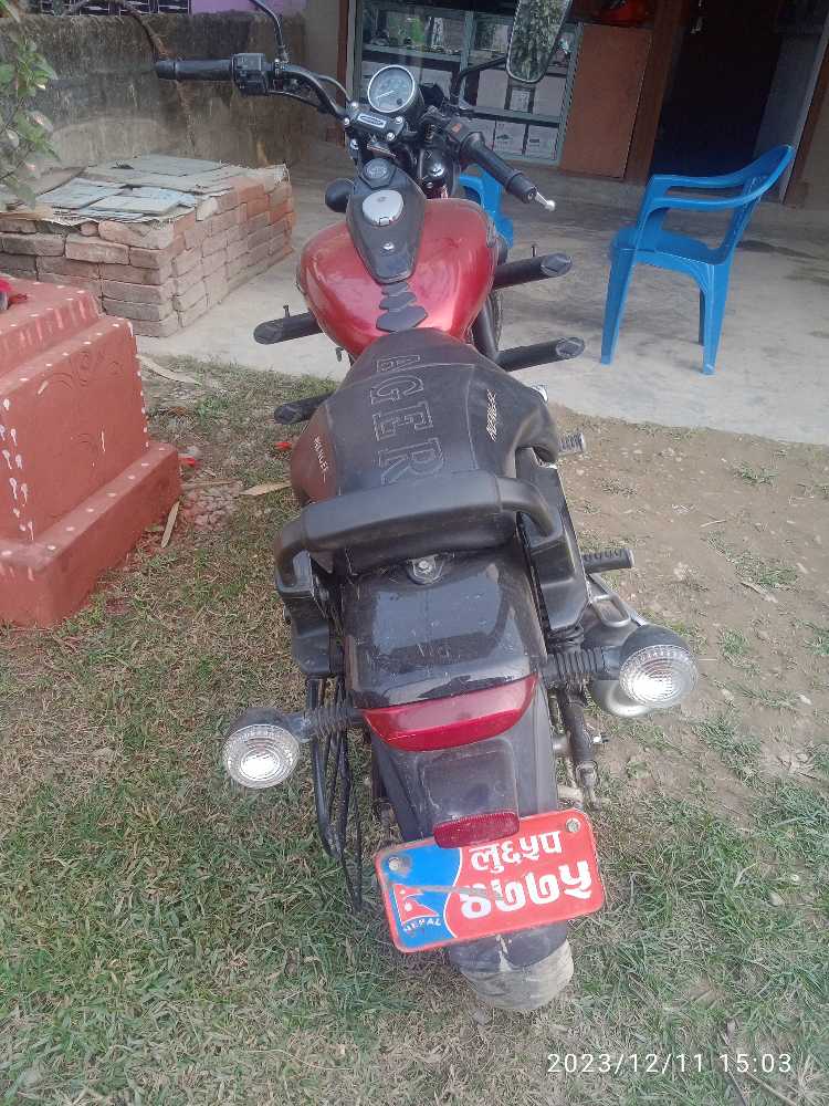 2020 Bajaj Avenger 150, photo 4