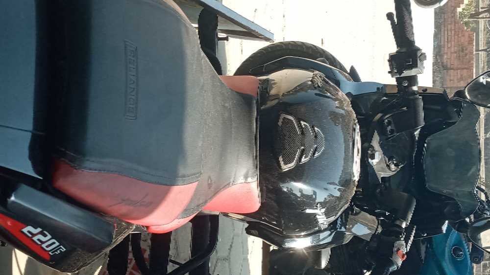 2019 Bajaj Plusar 220, photo 2
