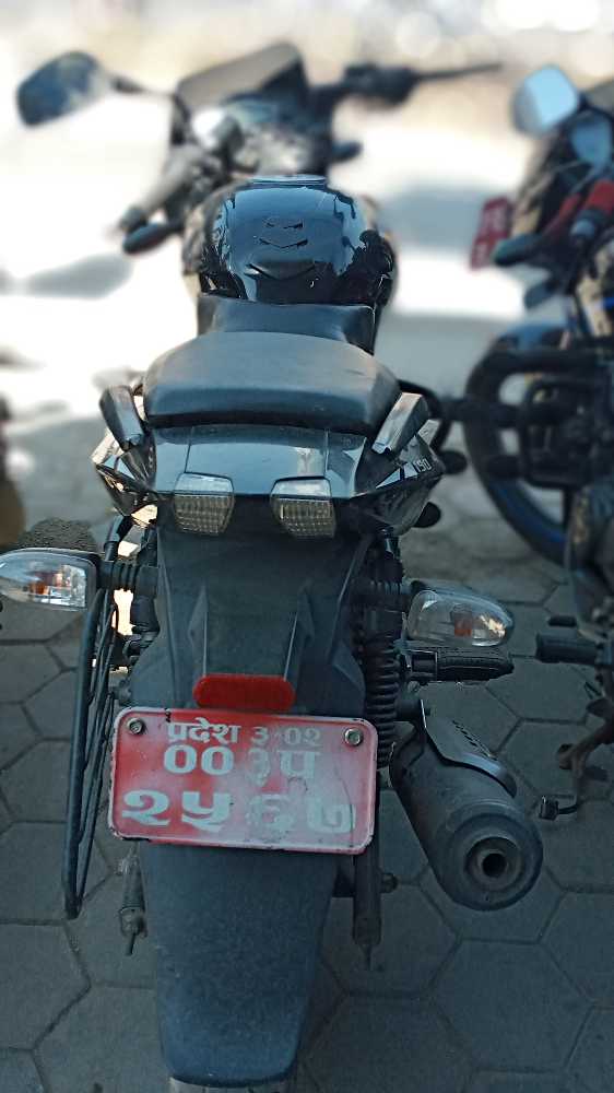 2019 Bajaj Plusar 150, photo 2