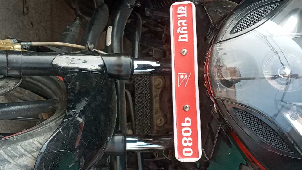 2018 Bajaj Plusar 220, photo 3