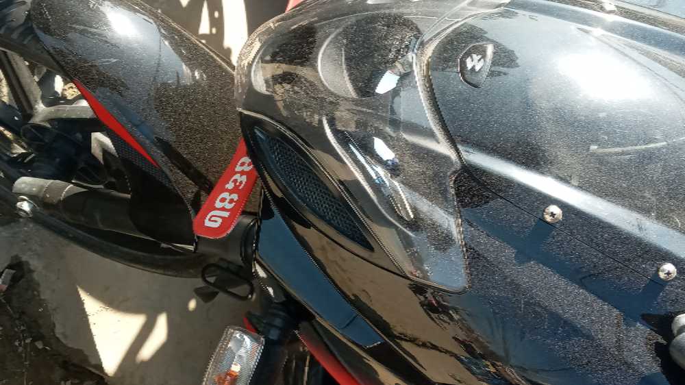 2019 Bajaj Plusar 220, photo 3