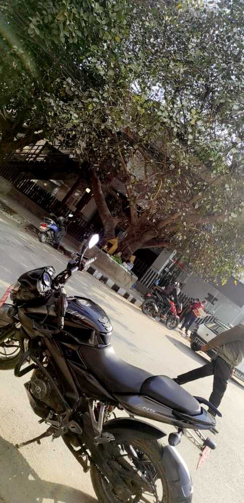 2017 Bajaj NS 200, photo 2