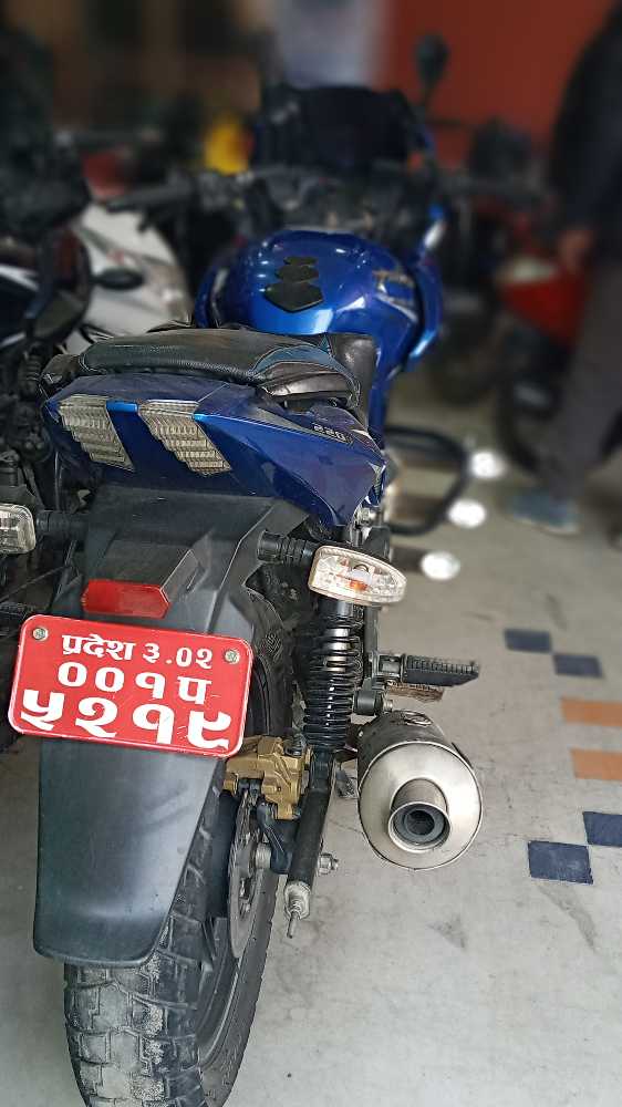 2019 Bajaj Plusar 220, photo 2
