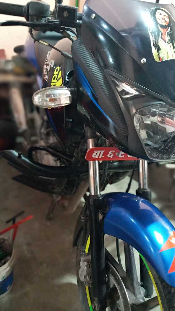 2015 Bajaj Plusar 150, photo 3