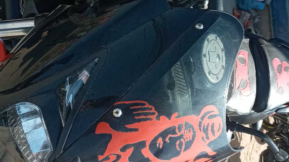 2019 Bajaj Plusar 150, photo 3