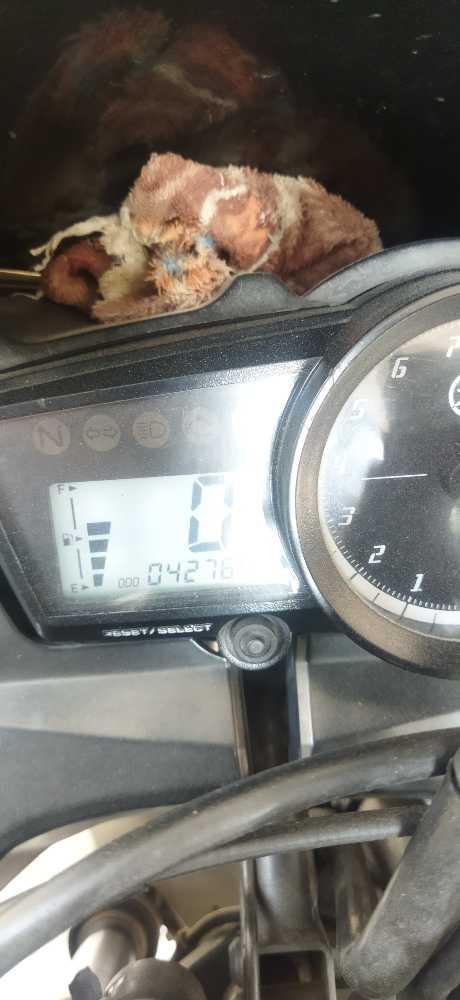 2015 Yamaha R15, photo 4