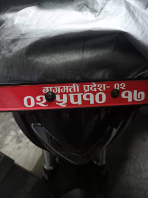 2020 Bajaj Dominar 400, photo 3