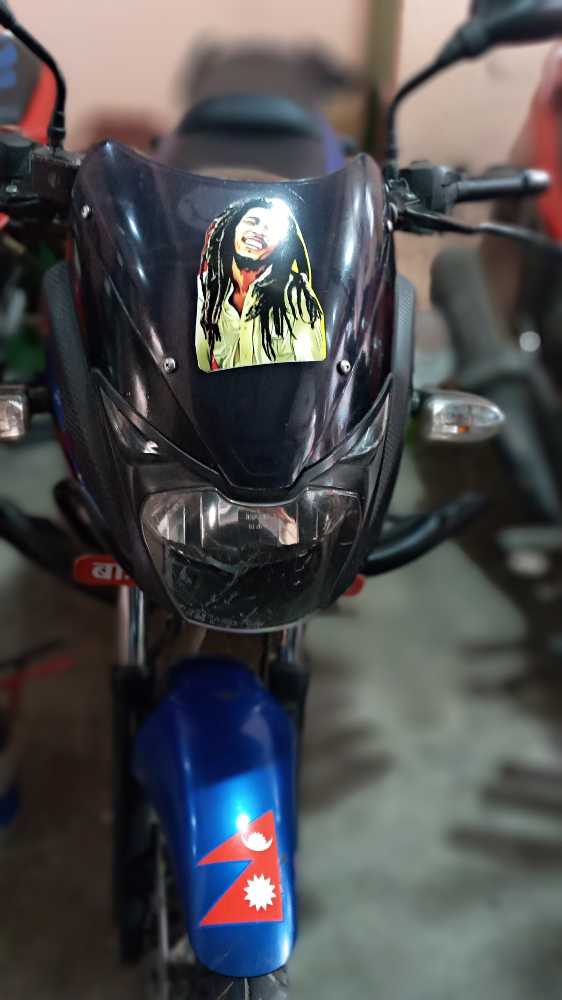 2015 Bajaj Plusar 150, photo 2